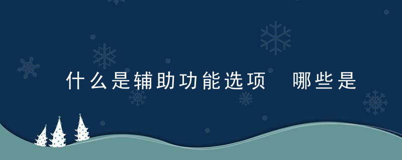 什么是辅助功能选项 哪些是辅助功能选项